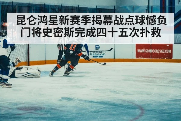 ice hockey match action