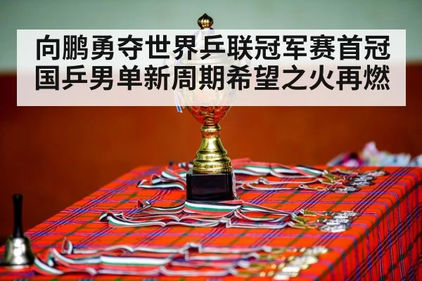 向鹏勇夺世界乒联冠军赛首冠 国乒男单新周期希望之火再燃